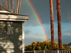 precipitation totals san francisco