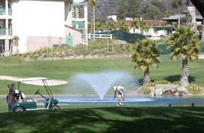 Golf Course in Escondido