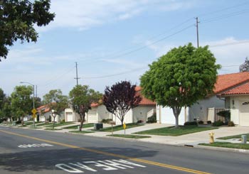 Typical Pacifica Street